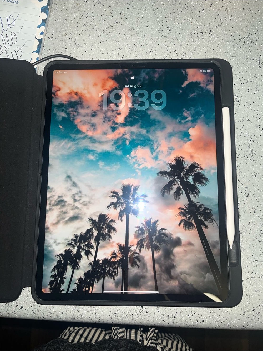 iPad Pro 256GB • Apple with case included